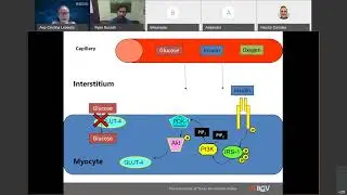 Dr  Ryan Russell Translational Research Seminar 04-09-2021