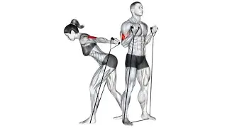 Resistance Band Workout To Tone Muscles At Home