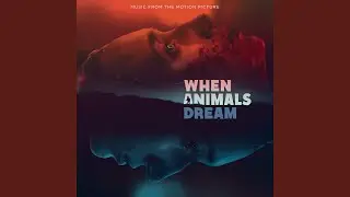 When Animals Dance