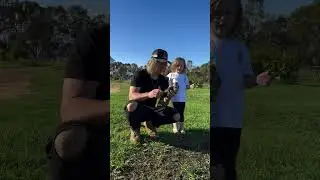 Tiny Wildlife Expert - Laughing Kookaburra Lessons! #shorts #wildlife #australia