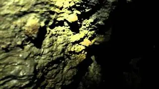 Halloween Horror at Horne Lake Caves!