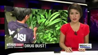 Jakarta Drug Bust Conducted After An Assault And Killing Incident