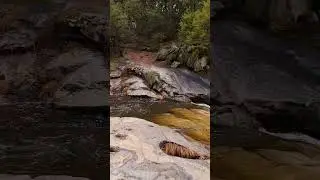 Snow and Rain! Angel Falls Willow Creek Trail #ylp #coarsegoldrealestate