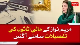 Maryam Nawaz's assets details come to light