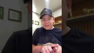 Exclusão MEI