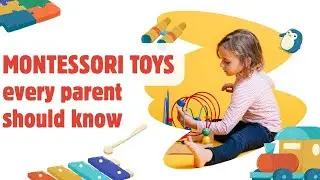 Montessori educational toys (0-6 years old) every parent should know