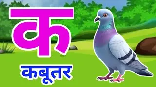 क से कबूतर | अ से अनार | Hindi Varnamala | A se Anar Aa se Aam Hindi Rhymes| Kids Learning Video 456