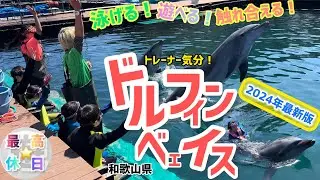 【ドルフィンベェイス】でイルカと泳いで、遊んで、触れ合える！関西の遊び、旅行、和歌山県の遊び場