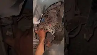 Swift restoration