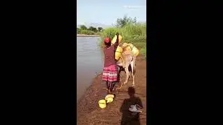 VILLAGE WAY TO FECTCHING WATER USING A DONKEY #ASMR