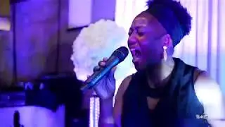 Timeless-Don't You Worry Bout' A Thing-feat Lori-Ann Williams Smith