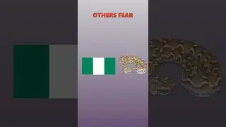 Other Countries Fear vs This Country #countryballs #countries #flags