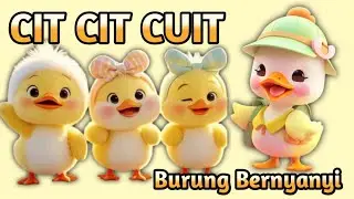 CIT CIT CUIT - Lagu Anak Balita - Lagu Anak Indonesia Populer // GogoKids