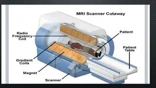 Biomedical Technology class12