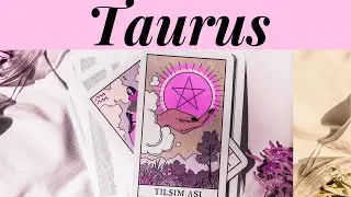 Taurus Tarot Next 2 Weeks Someone Will Say Something Important! February 1 -15