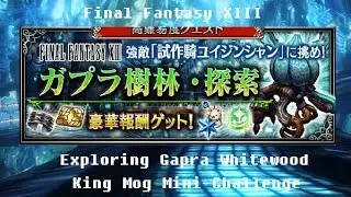 FFBE JP - Exploring Gapra Whitewood King Mog Trial