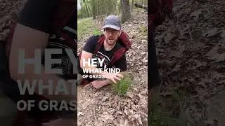Sneaky ways to slow down your hiking buddy 😅🤣