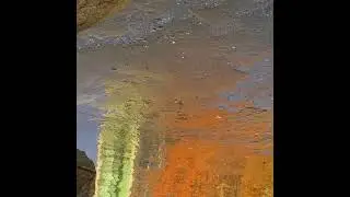 Hypnotic Reflections (Short) #musicvideo #hypnotic #water #reflections