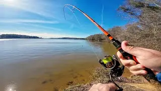 2 Days of BANK FISHING for Winter CATFISH | Finding the Bite Window