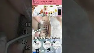 Lash Maps for Manga Lash Extensions - RY Lashes Factory