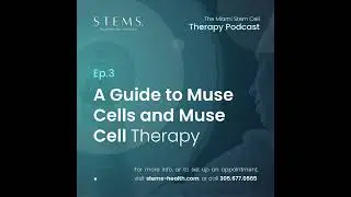 A Guide to Muse Cells and Muse Stem Cell Therapy