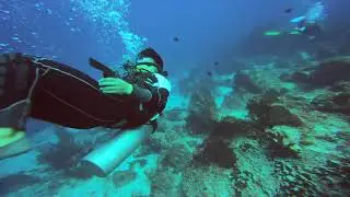 🇲🇨🤿#5 [ Diving Trip｜Indonesia｜Pulau Weh ] Arus Balee, Sabang Weh