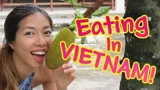 Taste of Vietnam (Part 1)