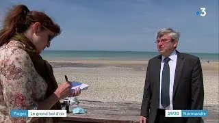 Veules-les-Roses retrouve sa plage