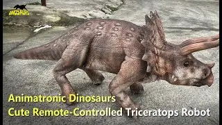 Mini Animatronic Triceratops &ndash; Remote-Controlled Dinosaur Robot