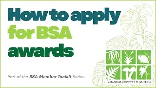BSA Member Toolkit Series: How to Apply for a BSA Award