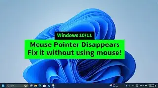 Fix Mouse Pointer Disappearing in Windows 11/10 &ndash; Dell, HP, Lenovo, Asus, Acer (Easy Guide)