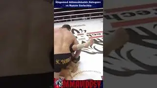 TKO Punches GnP ProFC 36 - Magomed Akhmedshaikh Gelegaev vs Roman Savochka #ProFC #TKO #punches