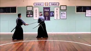 Nakamura ryu kumitachi kata 1-7 