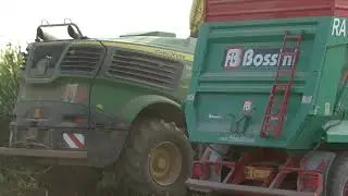 TECNOAGRICOLA CICERI NUOVA 9800I CON KEMPER 460 PLUS CON STALKBUSTER 2019 TRIGOLO