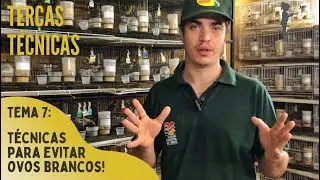 COMO EVITAR OVOS BRANCOS? | Técnicas de manejo de macho