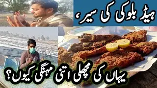 Visit to Head Baloki | Ravi River Punjab | Fish Corners in Head Baloki | A to Z