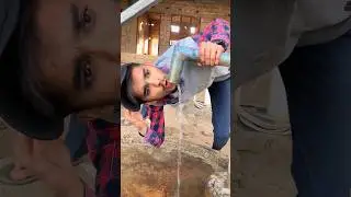 Hello Dhamaal Scene 😅 #comedy #sameerjafri05 #funny #surajrox #shorts