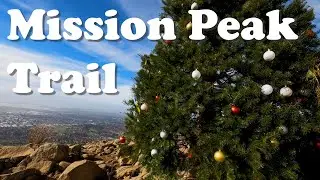 Mission Peak Trail | Bay Area Hiking