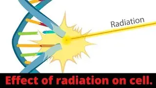 Radiation के effects cell पर 😱 #radiationeffects #shorts #celleffect #youtubeshorts