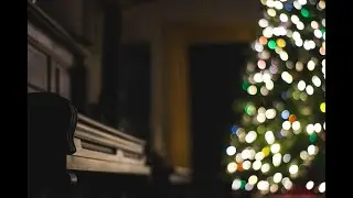Only Human: A Christmas Miracle, Narration by Peter van De Graaff