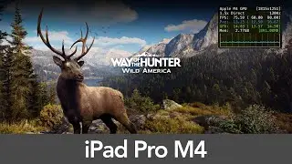 iPad Pro 11