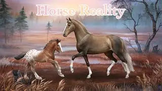 Horse Reality - 2026 Account Overview ⋆⁺₊⋆