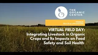 Virtual Field Day: Integrating Livestock in Organic Crops & Its Impacts on Food Safety & Soil Health