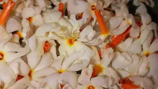 মনে হাজার কষ্ট রেখেও মুখে হাসি ফুটিয়ে তোলা নাম কি জানো