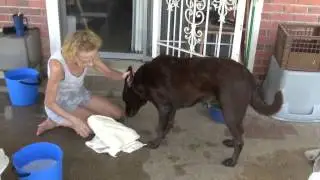 MP4 file Baby getting her first bath of summer june 23 2013 Linda bathing her ipad