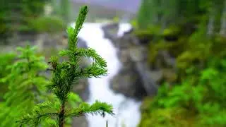 60 minutes relaxing music water falls