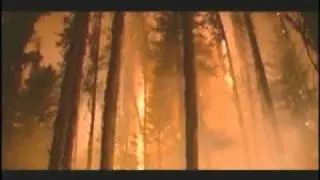 Natural Disasters Forest Fires