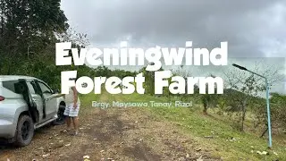 Eveningwind Forest Farm | Quick Tour | Tanay, Rizal | Blackdog