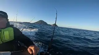 Sunday troll for yellow fin tuna at the back of Whale 🐋 