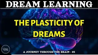 Dream Learning | From Neuron to Brain | THE PLASTICITY OF DREAMS | Part. #5 #sleepstory